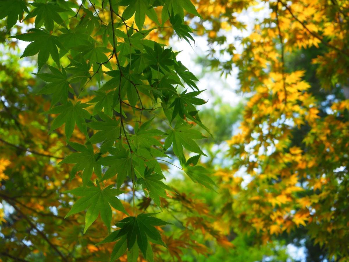 Tamachi Bukeyashiki Hotel - Vacation Stay 20163V Daisen  Екстер'єр фото